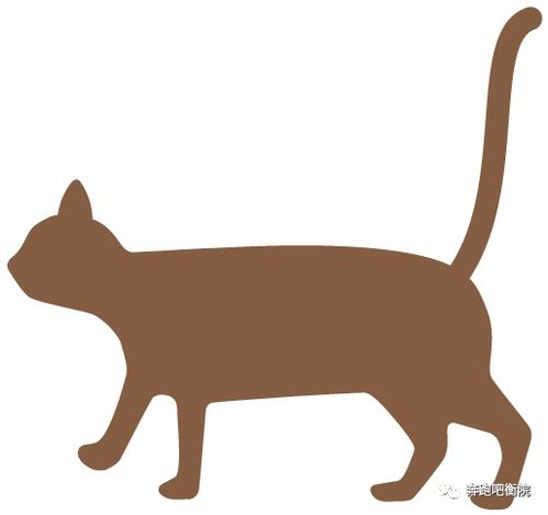 平面設(shè)計(jì) 視覺語言的魔法與藝術(shù)