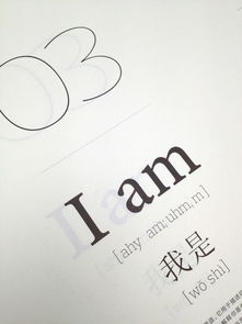 Neri Hu & 宣言 以平面設(shè)計(jì)重塑時(shí)代的視覺秩序