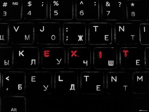 鍵盤(pán) 連接人與計(jì)算機(jī)的硬件橋梁